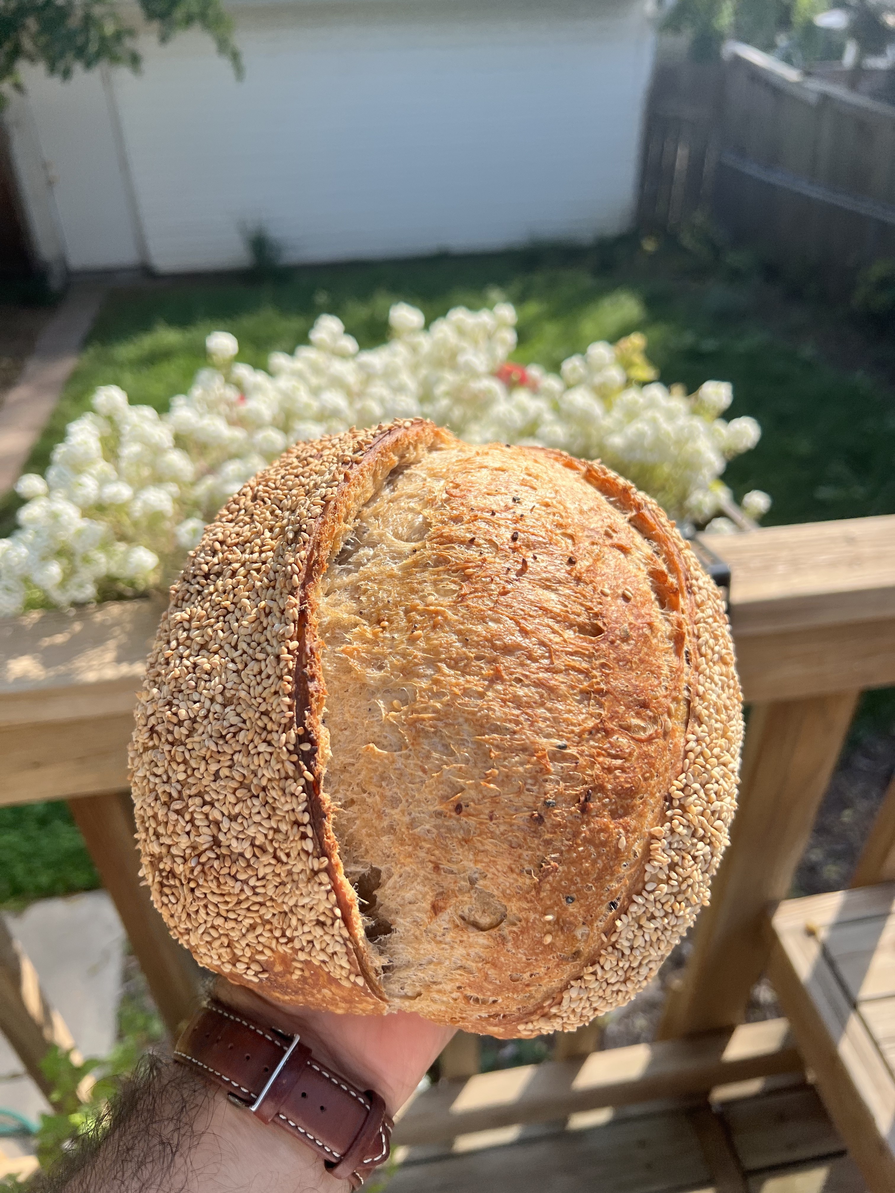 Everything seasoning sourdough loaf covered in seeds and spices